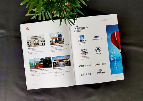 昆明企業(yè)宣傳畫冊設(shè)計 產(chǎn)品宣傳手冊制作 公司畫冊定制